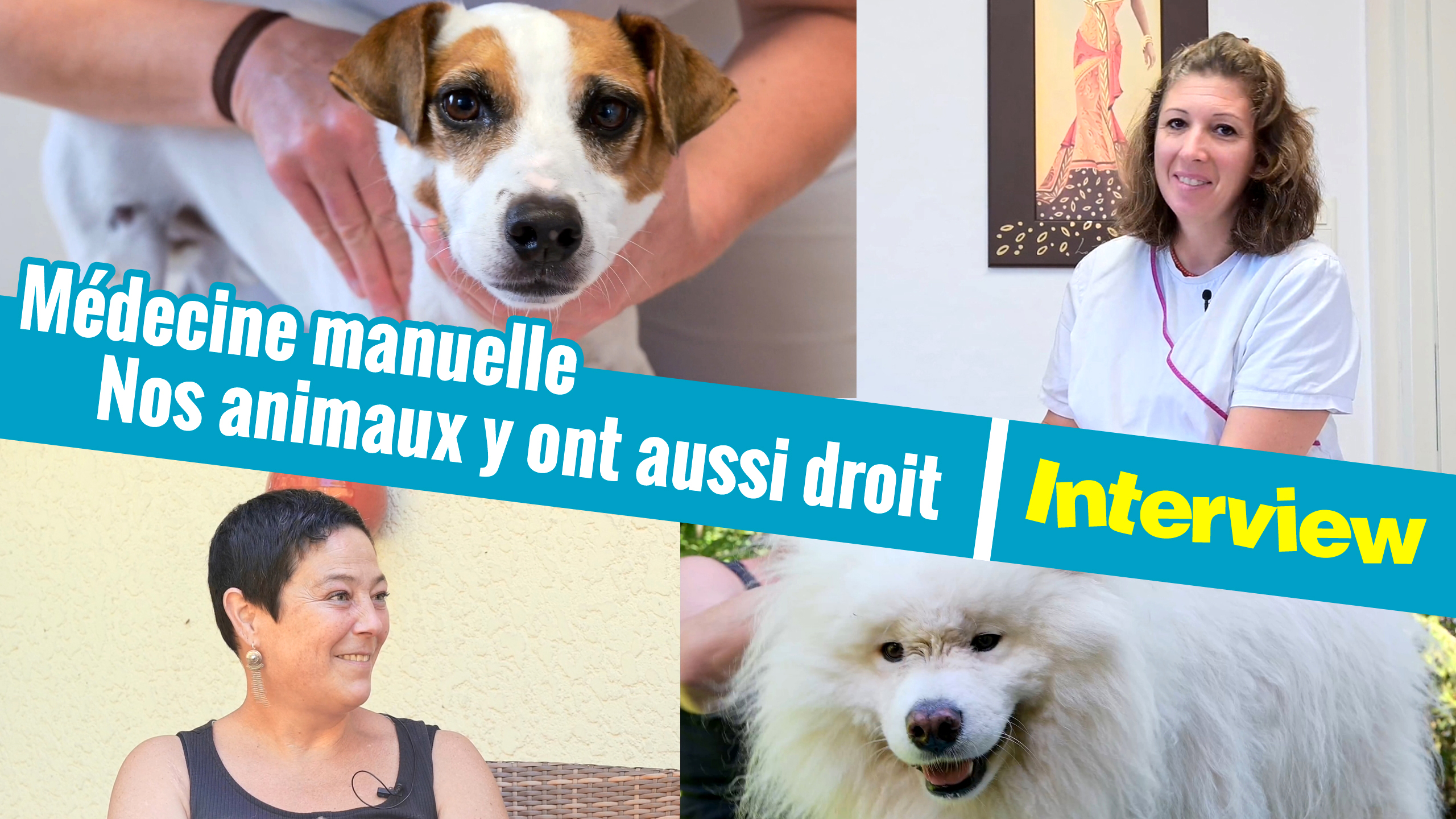 Médecine manuelle: nos animaux y ont aussi droit