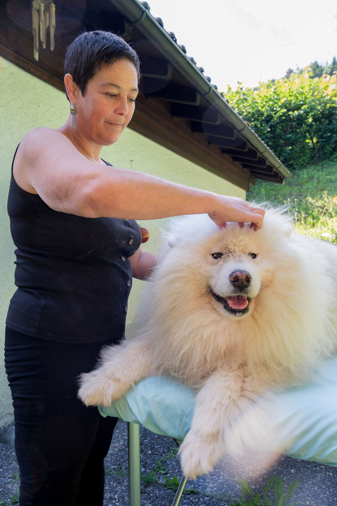 Caroline Couper s’est formée en massothérapie pour soulager son chien, Leni, un Samoyède