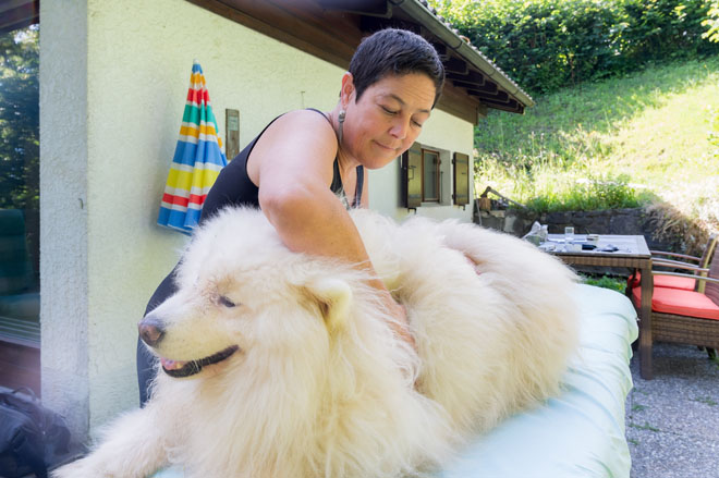 Leni, complètement détendu lors d’un massage réalisé par sa maîtresse