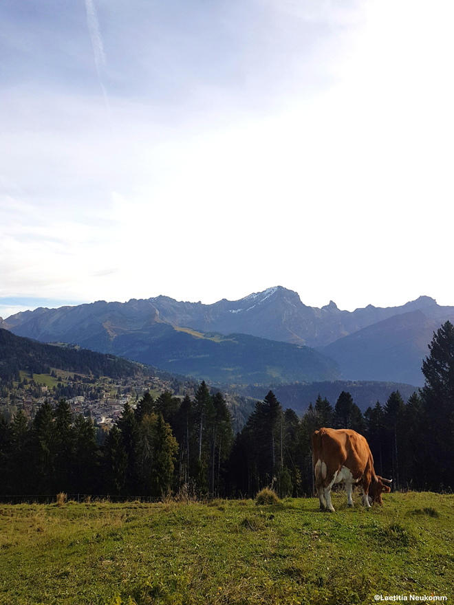 Le PDRa des Muverans est soutenu par la Confédération, le canton de Vaud et les communes partenaires