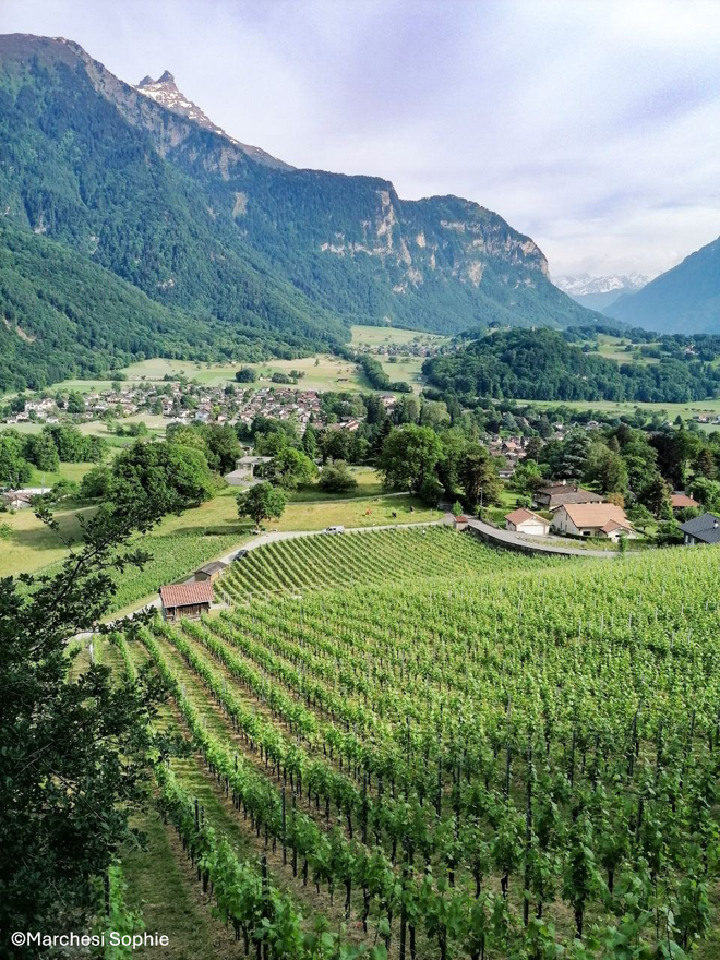 Mieux relier l’agriculture de plaine et de montagne et valoriser les produits locaux auprès des habitants et des visiteurs