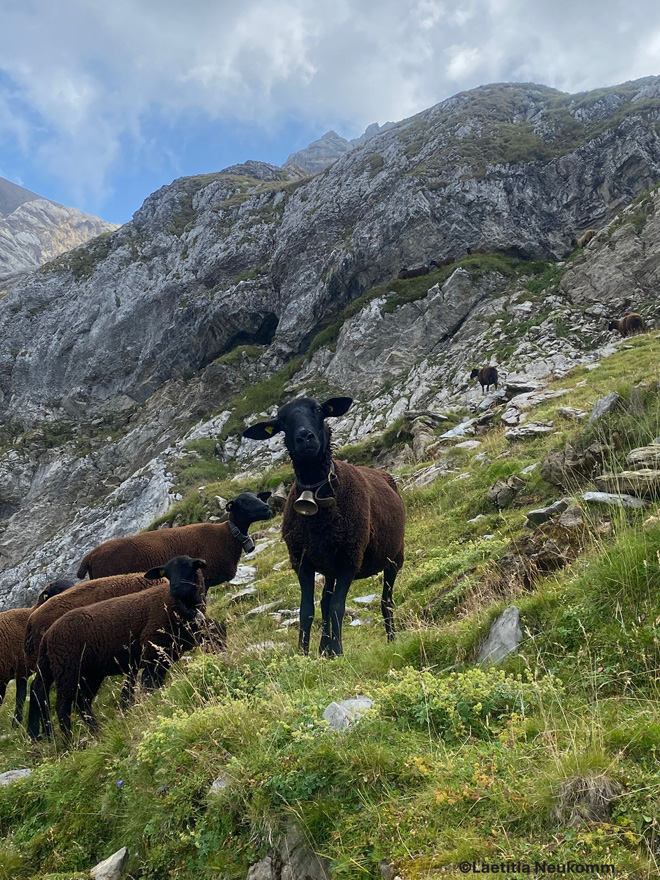 Quatre axes mis en avant : les filières locales, la promotion des produits, le tourisme et la coopération