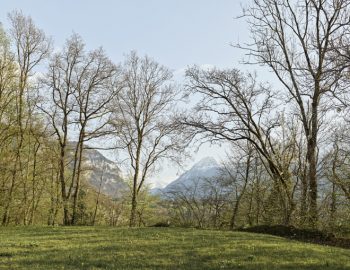 Parc Szilassy