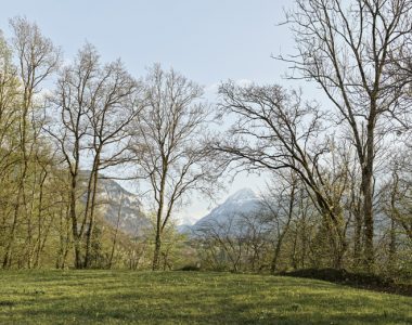 Parc Szilassy